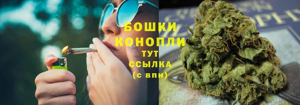 дмт Вяземский