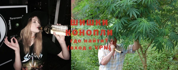 гидра Вязники