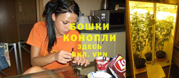 jwh Вязьма