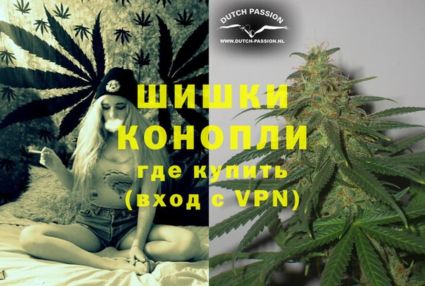 гидра Вязники