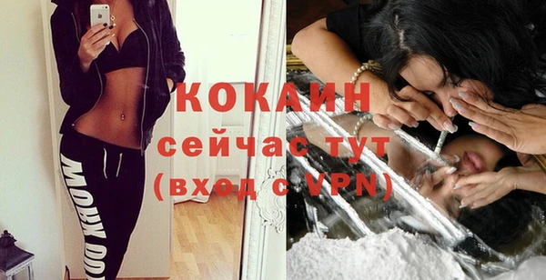 дмт Вяземский