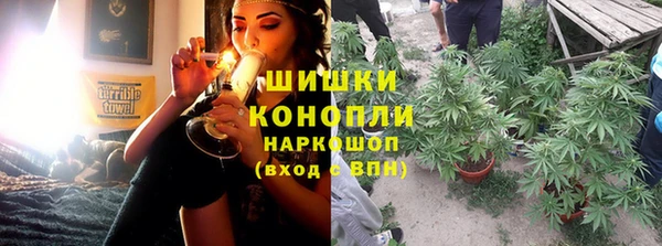 дмт Вяземский