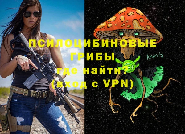 гидра Вязники