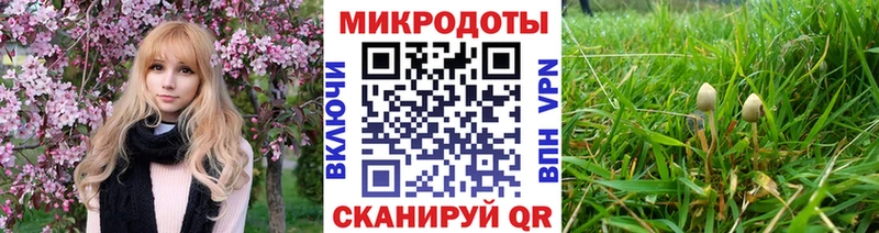 мега как зайти  купить   Долгопрудный  Псилоцибиновые грибы мухоморы 